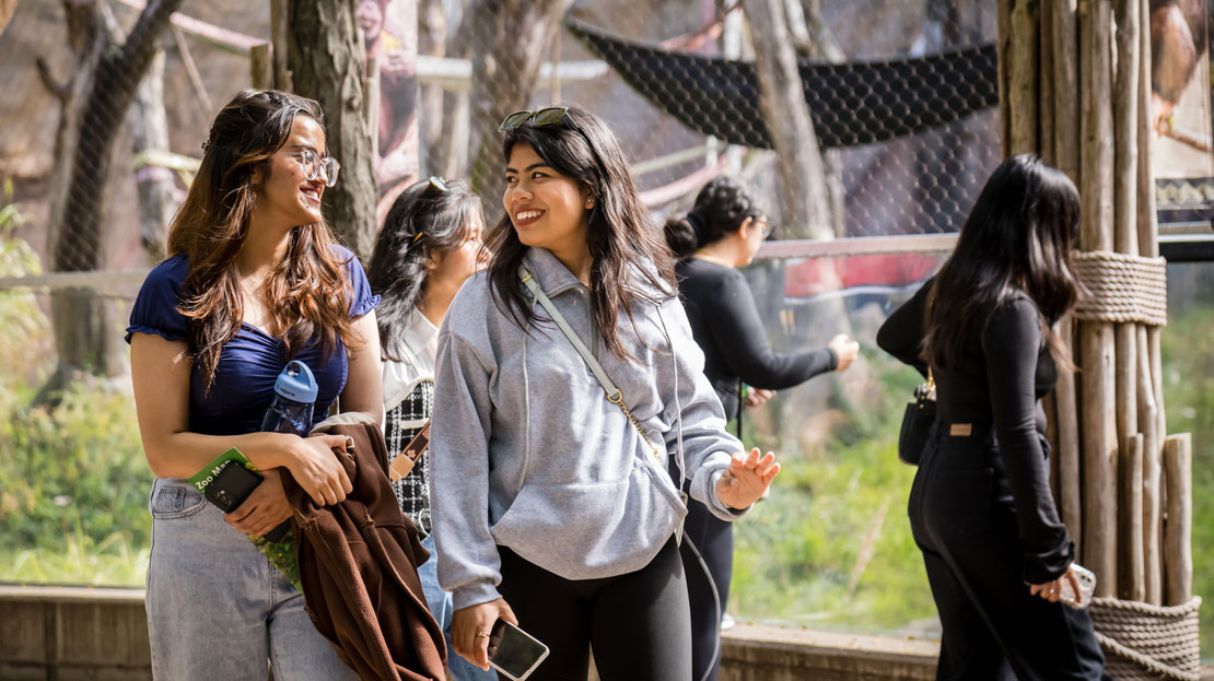 A pair of Webster students tours the St. Louis Zoo.