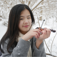 girl in winter background playing mini-violin