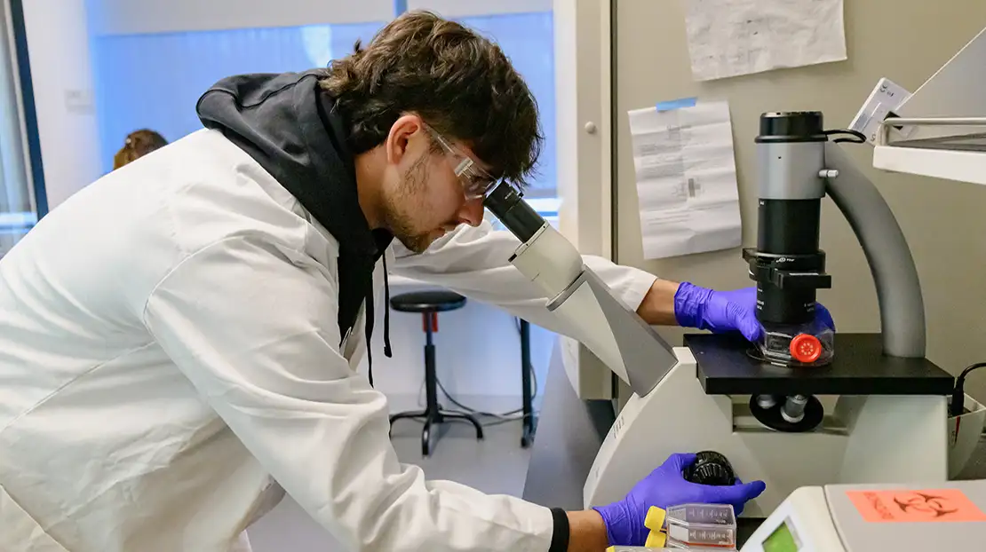 Nursing student in white lab coat studying a slide under a microscope.