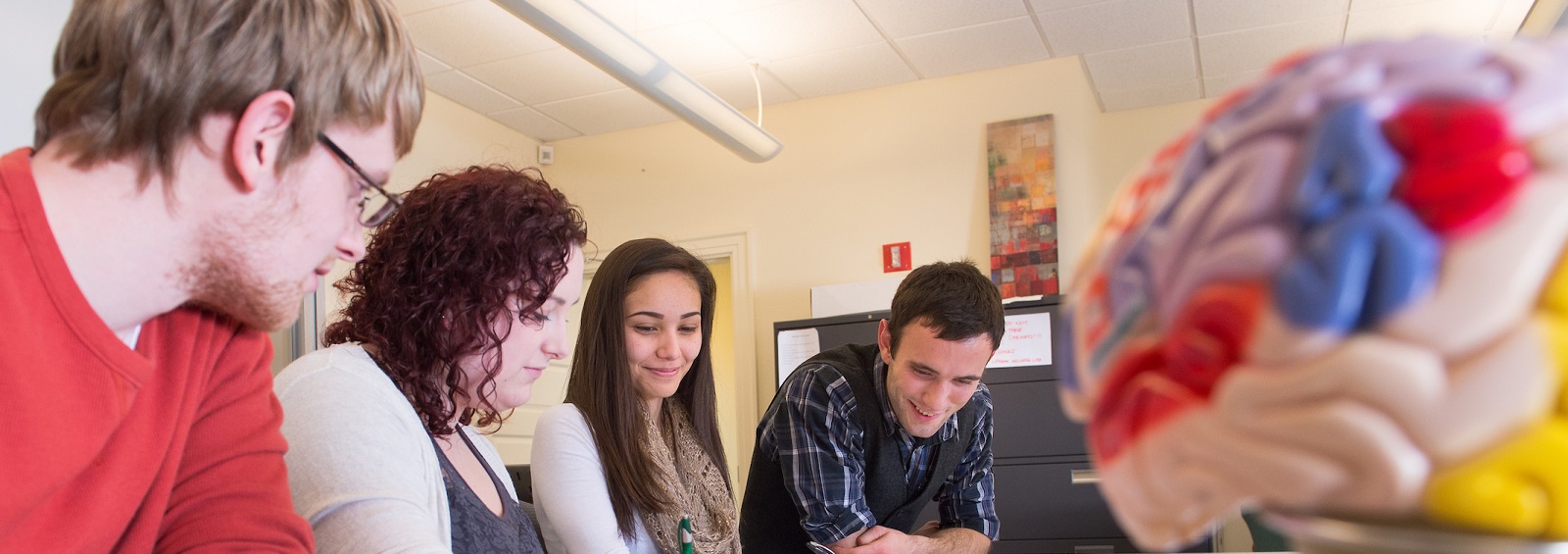 Students studying with a model of the brain